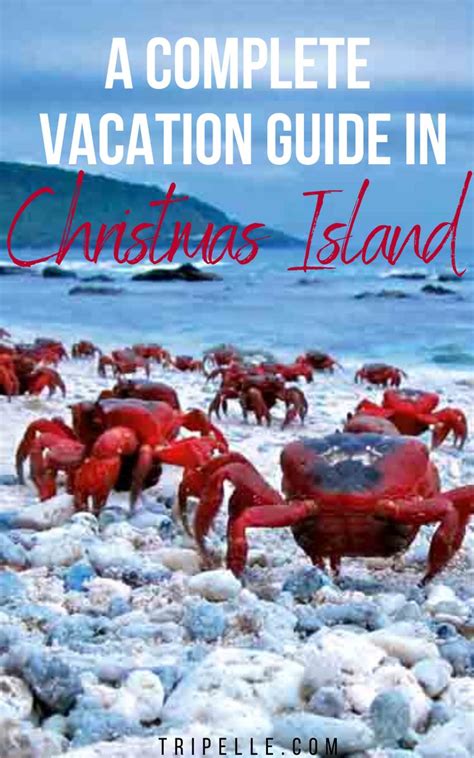 christmas island tsrip|A Guide to Vacationing on Christmas Island .